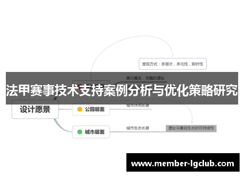 法甲赛事技术支持案例分析与优化策略研究