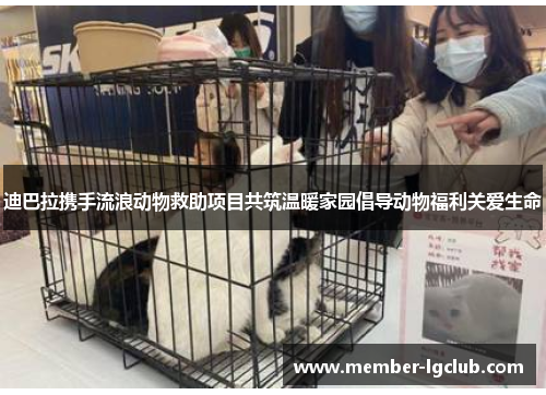 迪巴拉携手流浪动物救助项目共筑温暖家园倡导动物福利关爱生命