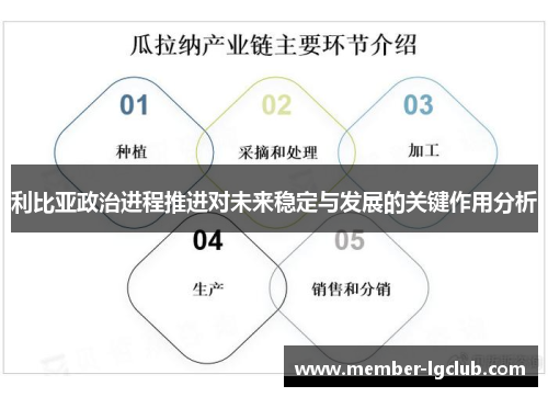 利比亚政治进程推进对未来稳定与发展的关键作用分析