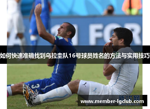 如何快速准确找到乌拉圭队16号球员姓名的方法与实用技巧 如何快速准确找到乌拉圭队16号球员姓名的方法与实用技巧